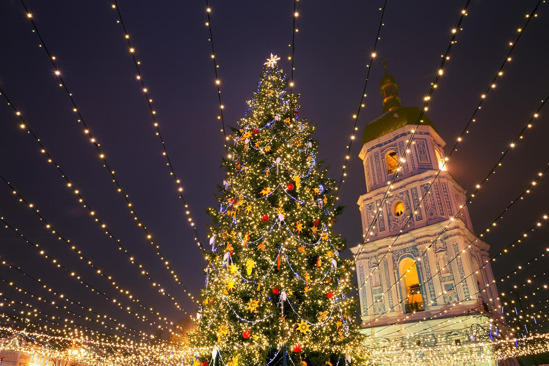 Un bel arbre de Noël