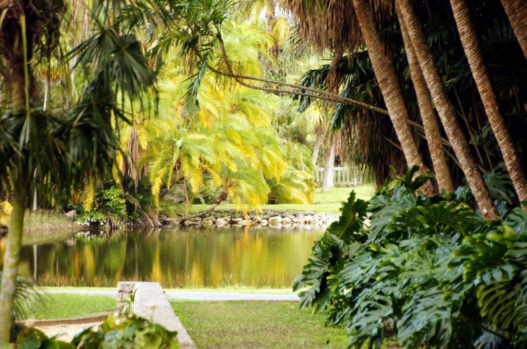 https://sumptuous-events-staging.kodyo.ai/venue/the-fairchild-tropical-garden/